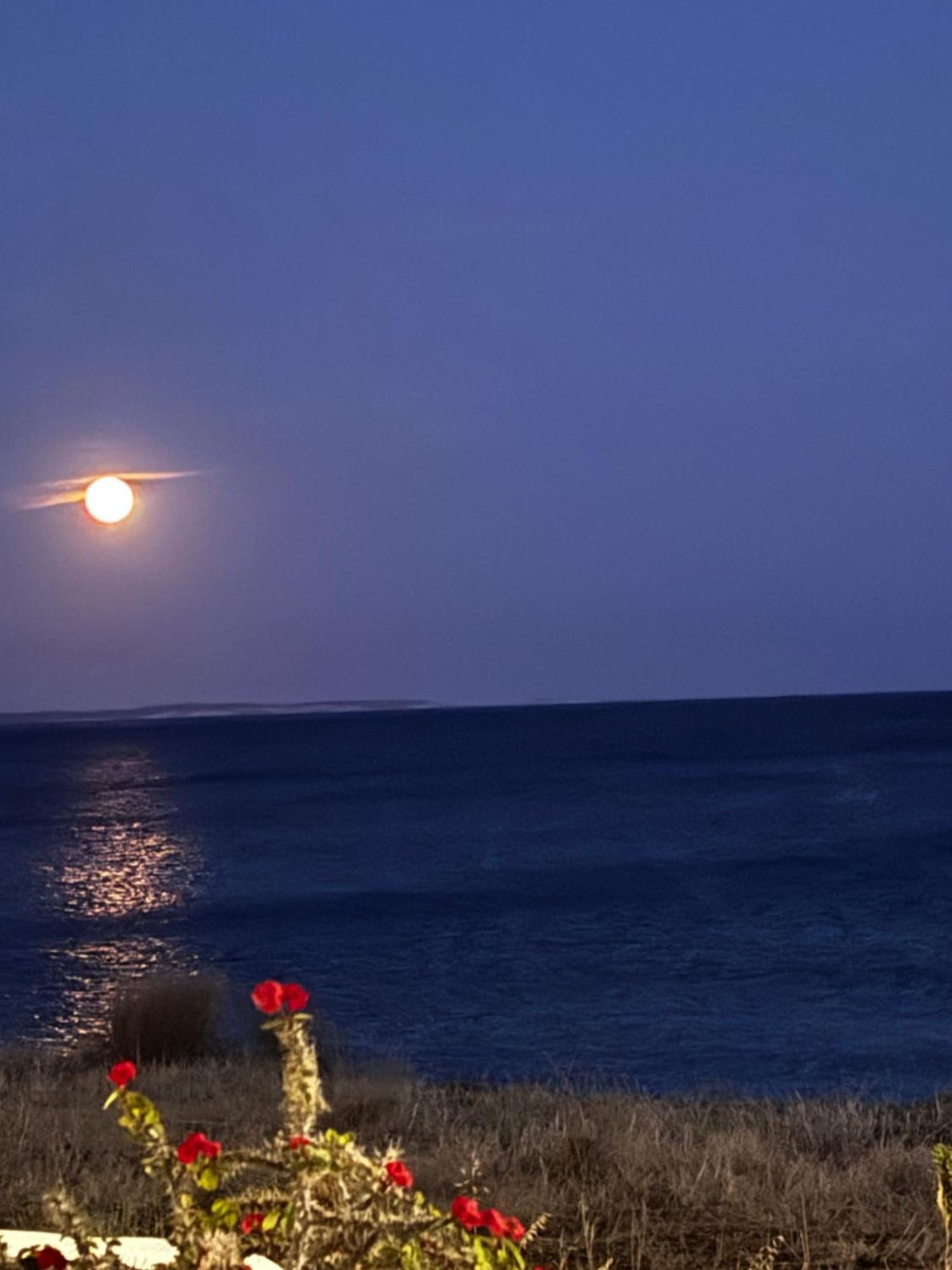 Makrýgialos Blue Sea Villa & Apartments מראה חיצוני תמונה